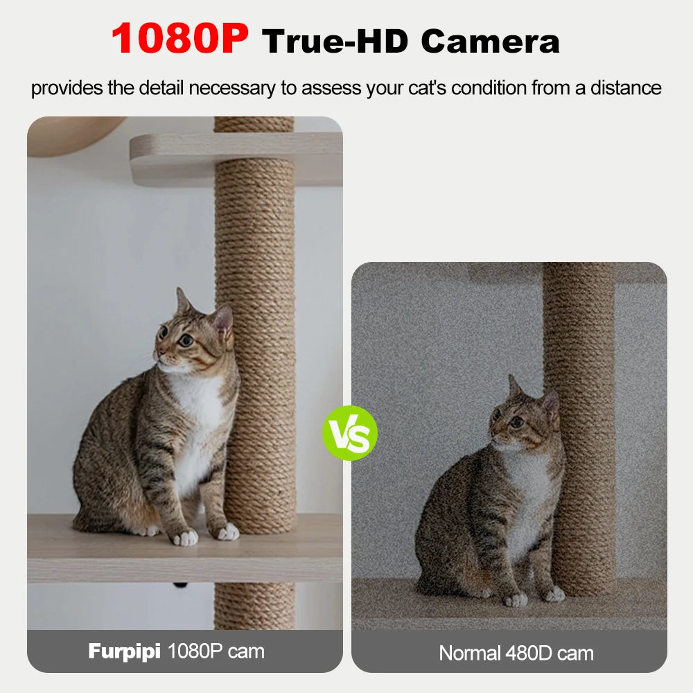 SnugPet™ 8L Automatic Cat & Dog Feeder with 1080p Camera – 5G WiFi Smart Food Dispenser with Voice Recorder & Tuya APP Control